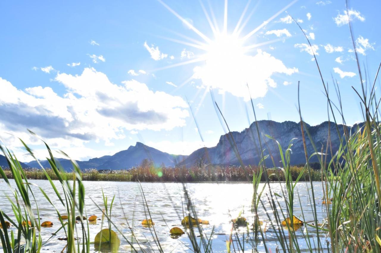 Hotel Drachenwand-Mondsee Bagian luar foto